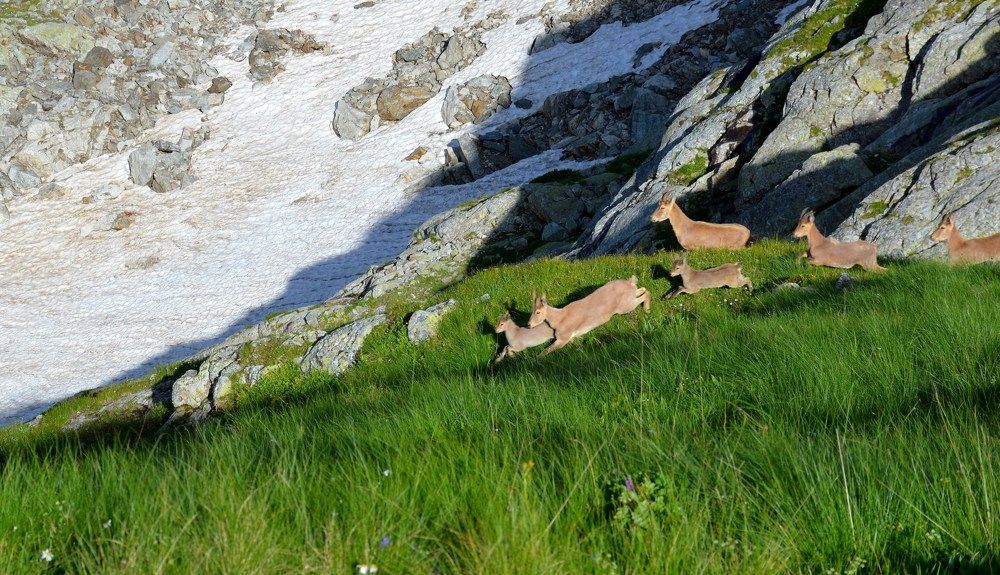 Дикие туры в Архызе на Софийских озерах