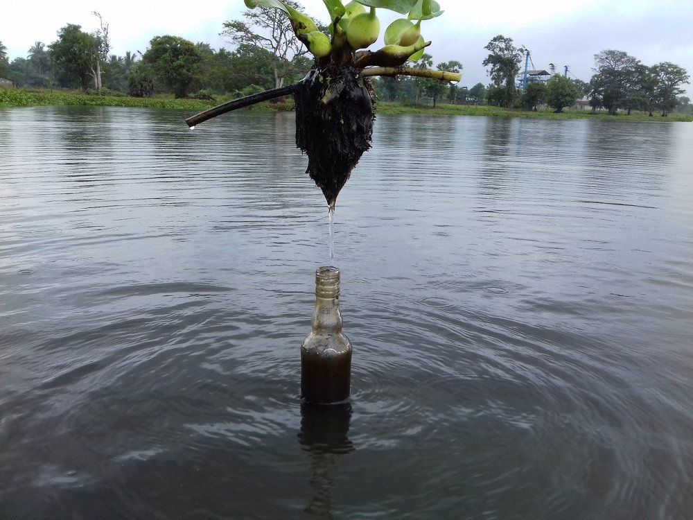 Photograph by Strange SellA