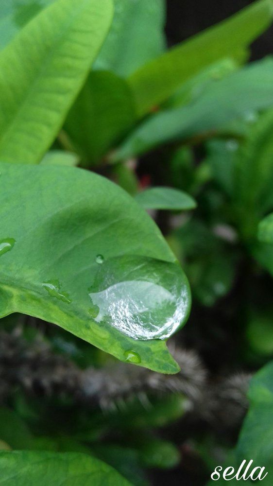 Photograph by Strange SellA