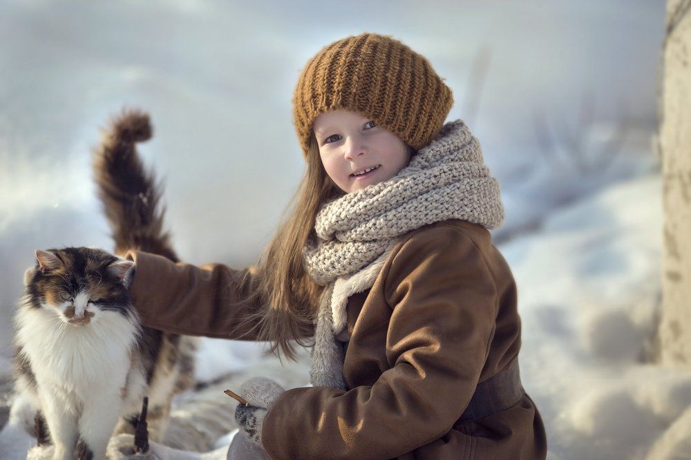 Рыжики на прогулке