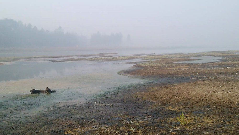 So it burnt a dead body