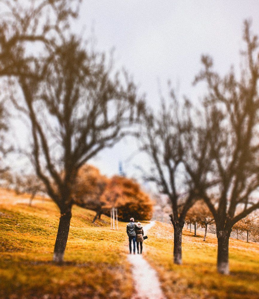 Прогулка по холмам