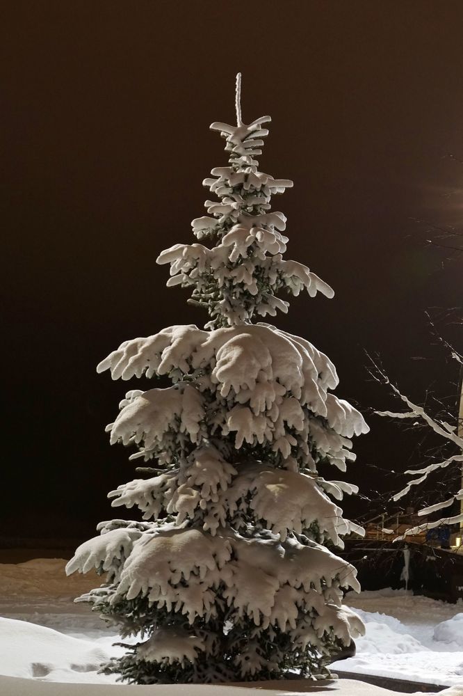 Photograph by Александр Попов