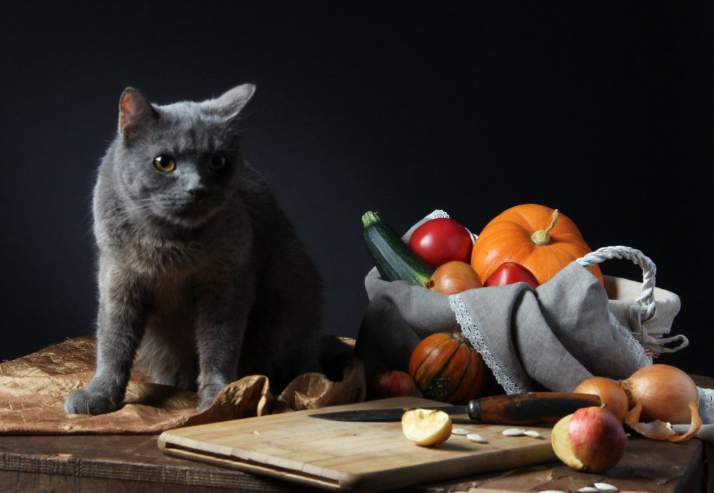 а где вкусненькое