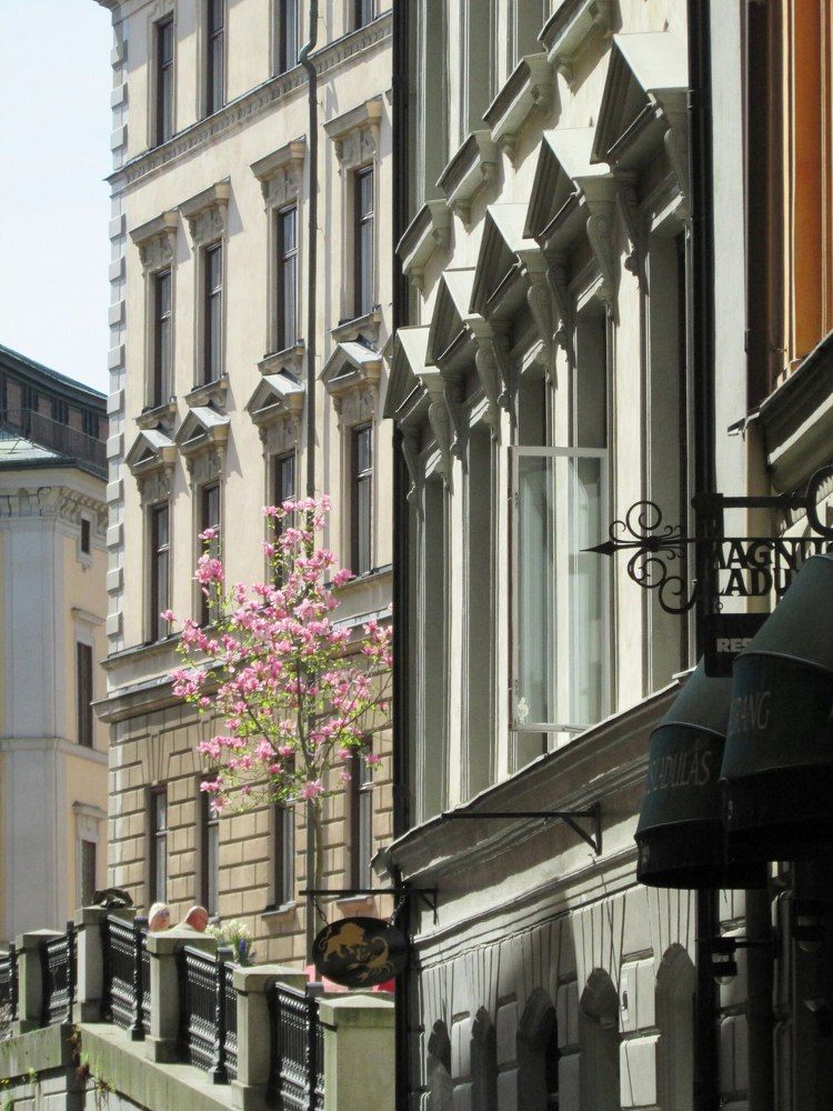 В каменных джунглях