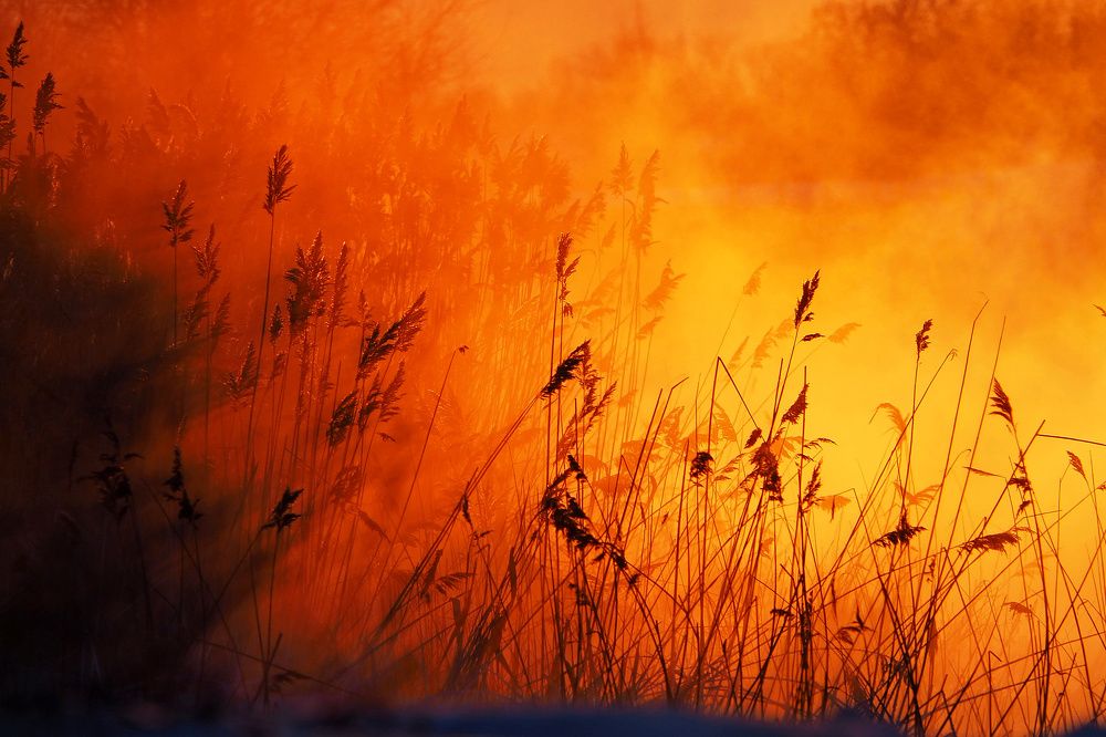 В огне заката.