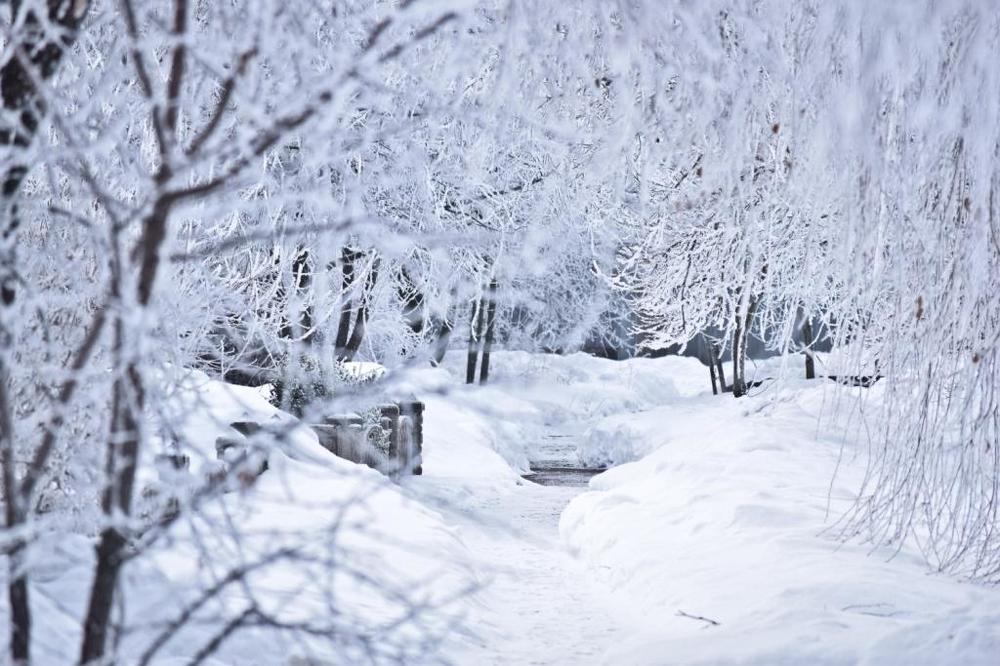 Зимняя сказка