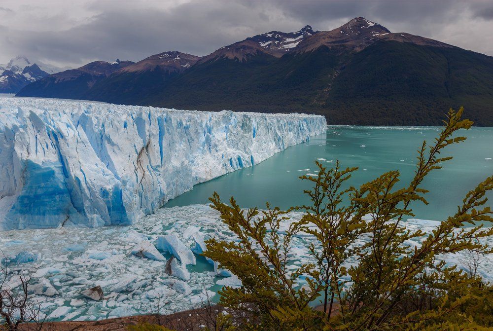 в царстве вечных льдов