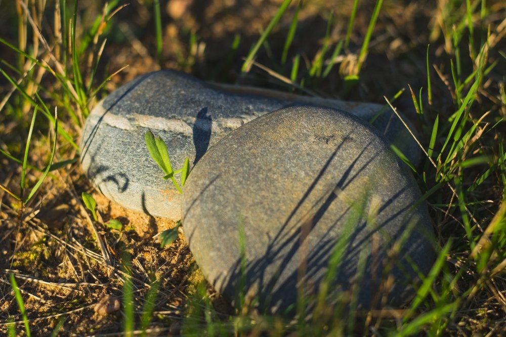 Мир в Миниатюре