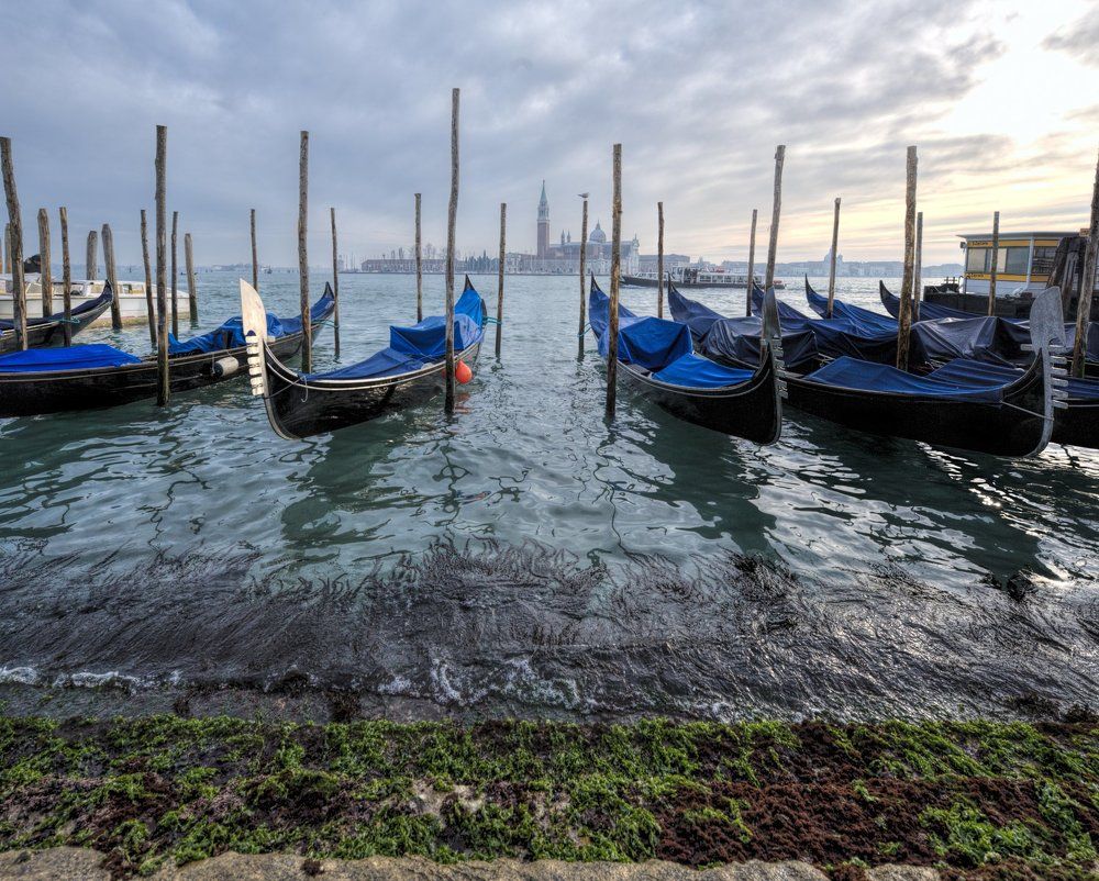 Венеция. Отлив.