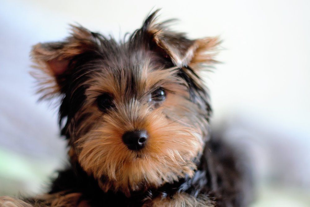 Photograph by Высочина Ирина