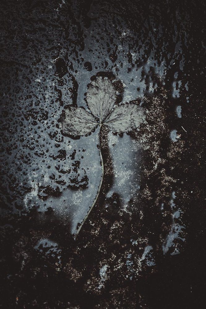 Пробуждение