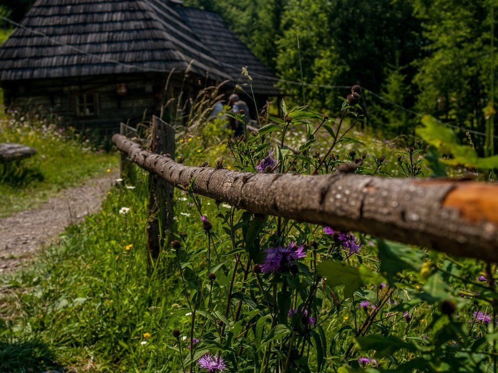 Домик в деревне
