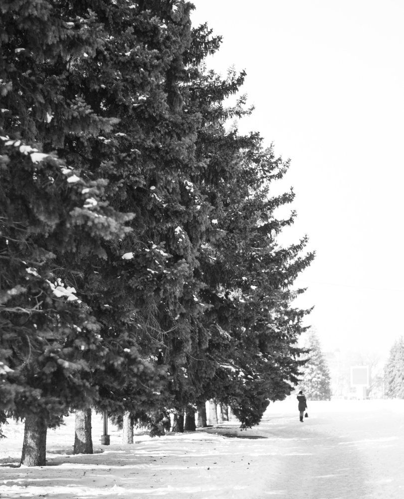 24.01.2016