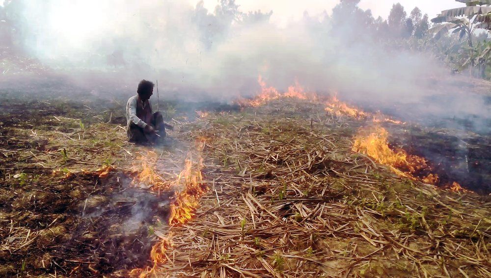 Making Organic Fertilizer
