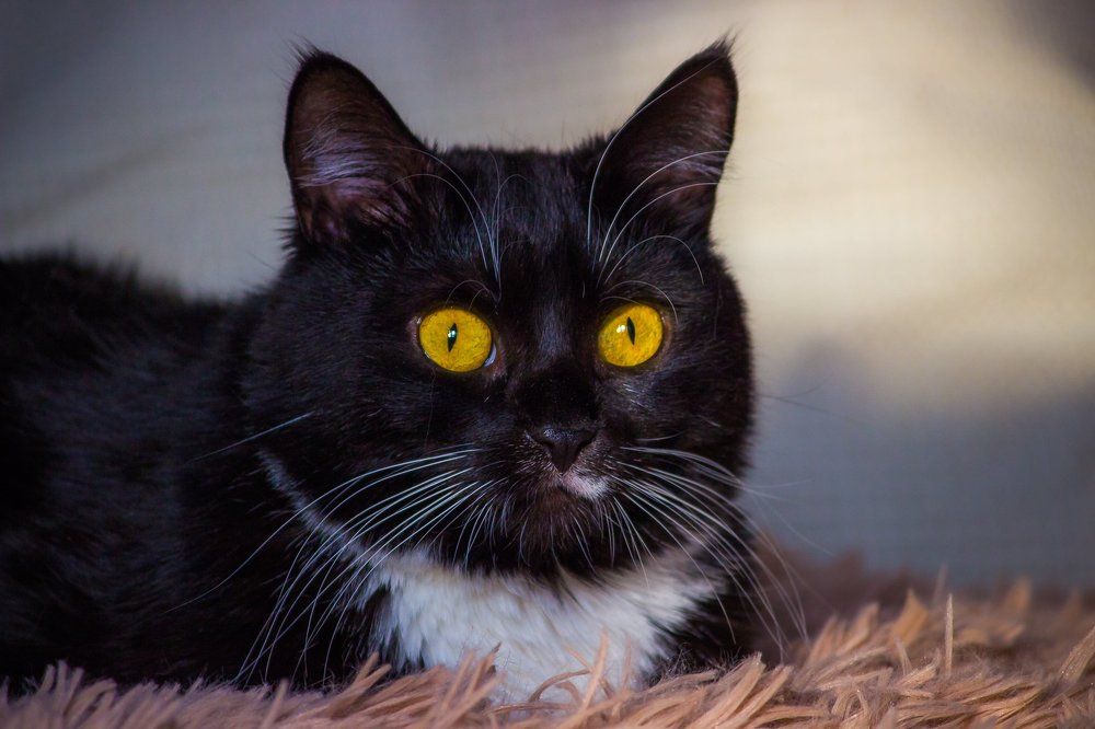 Photograph by Александр Волков