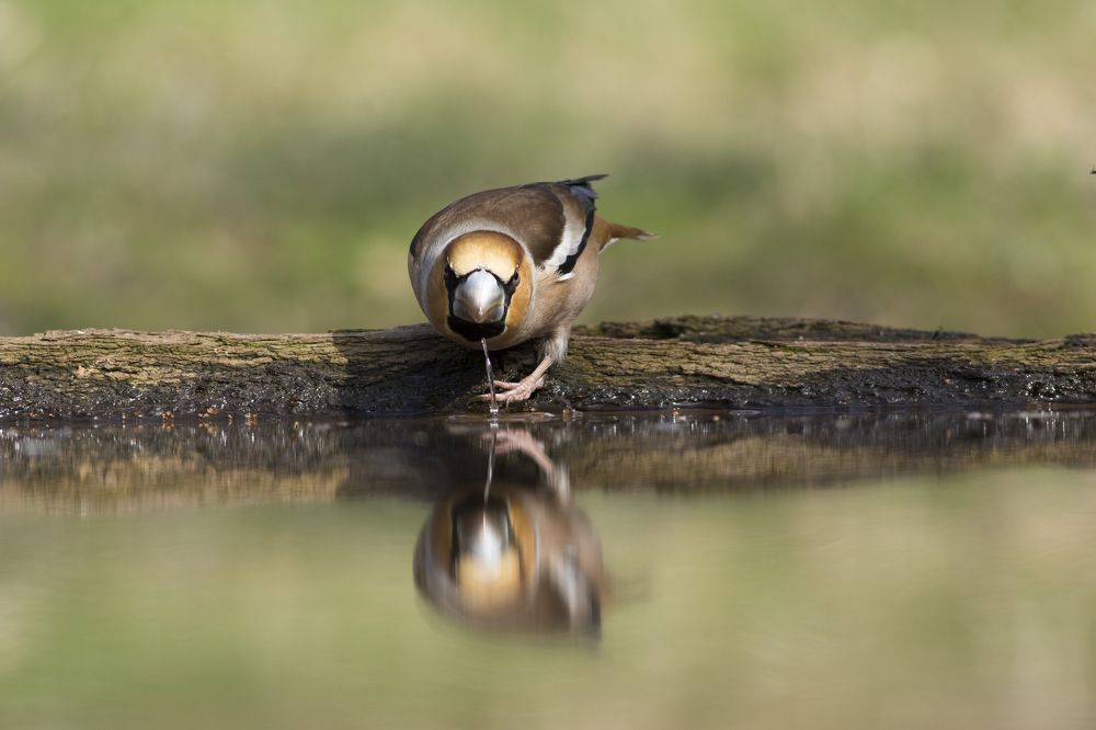 Посмотреть