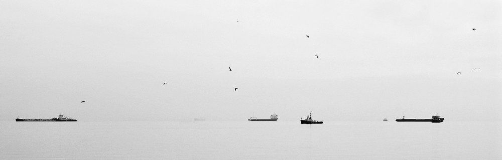 Утро. Туман