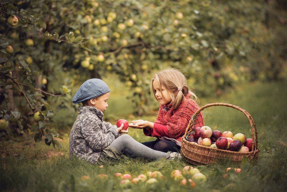Натуральные игрушки