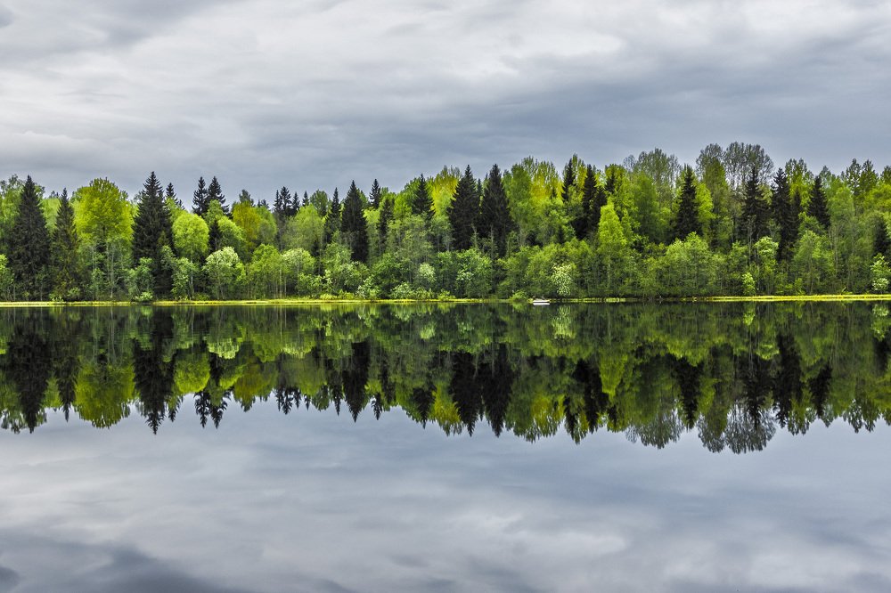 Параллельные миры