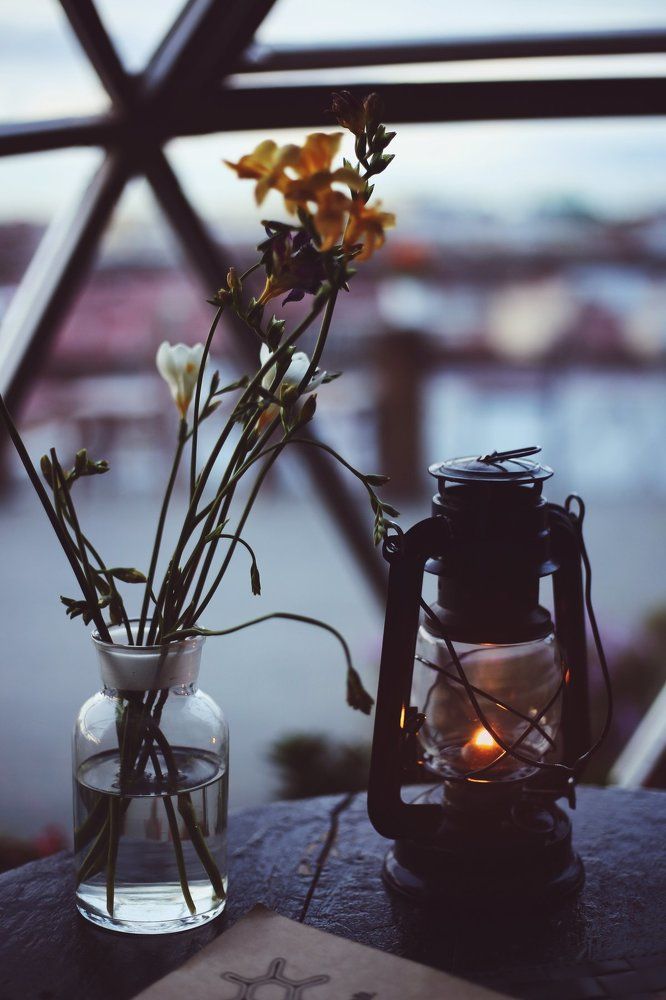 The light of the fireflies