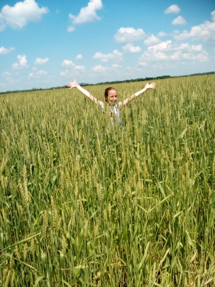 лето