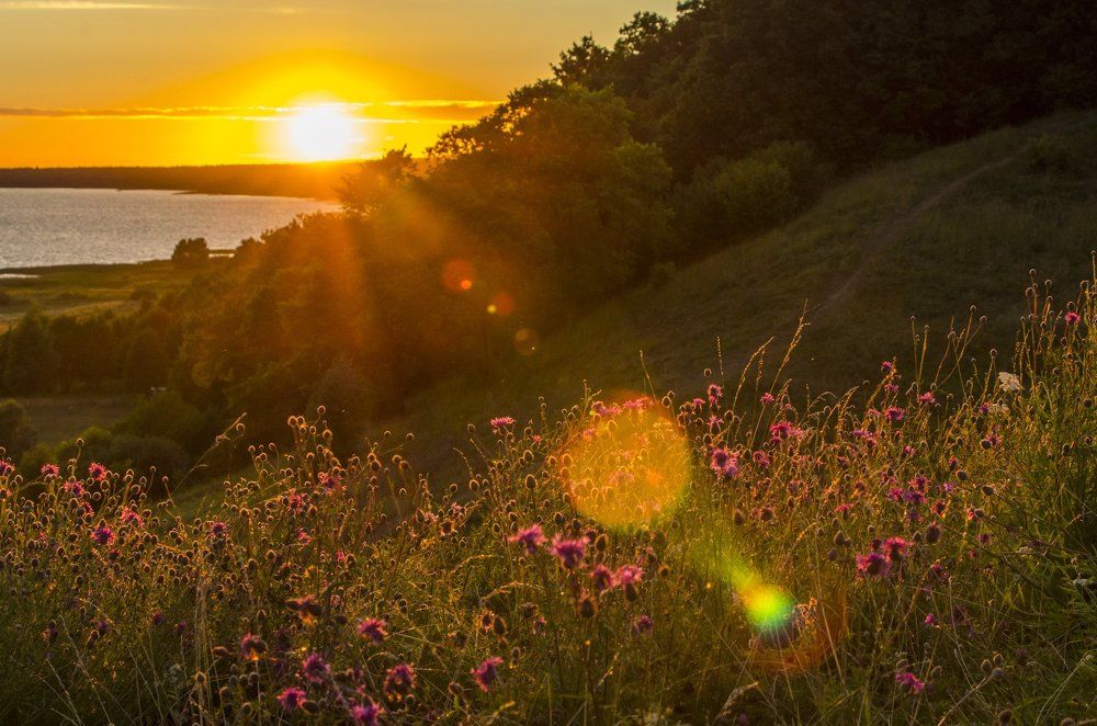 Плещеевский закат