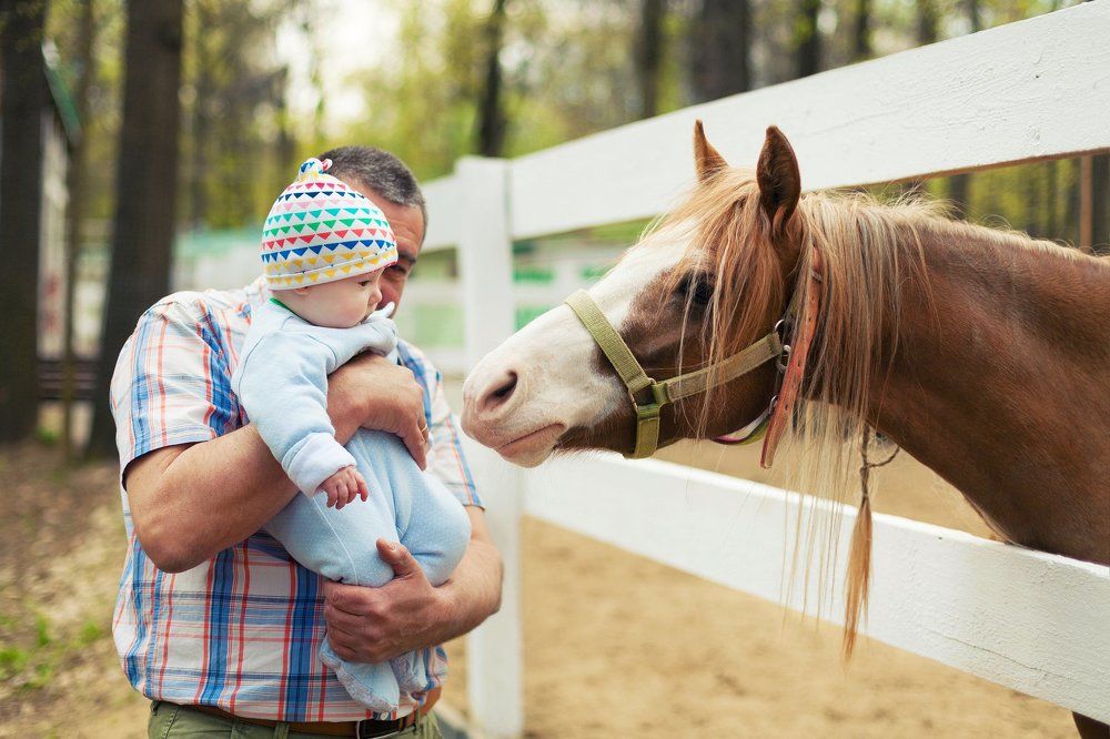Знакомство