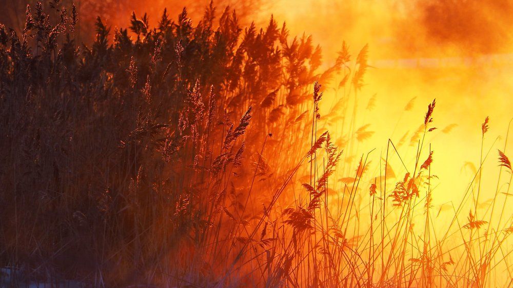 Фотография автора Александр Петаев