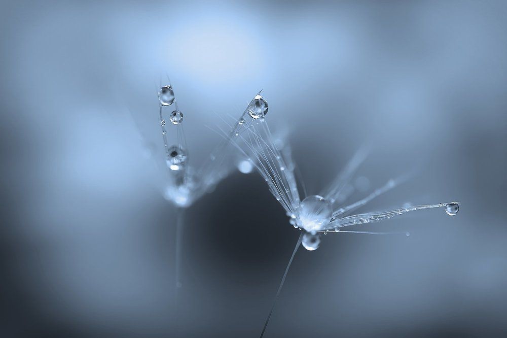 Кристаллики