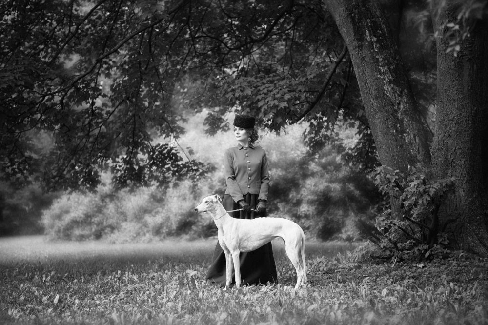 Аристократка