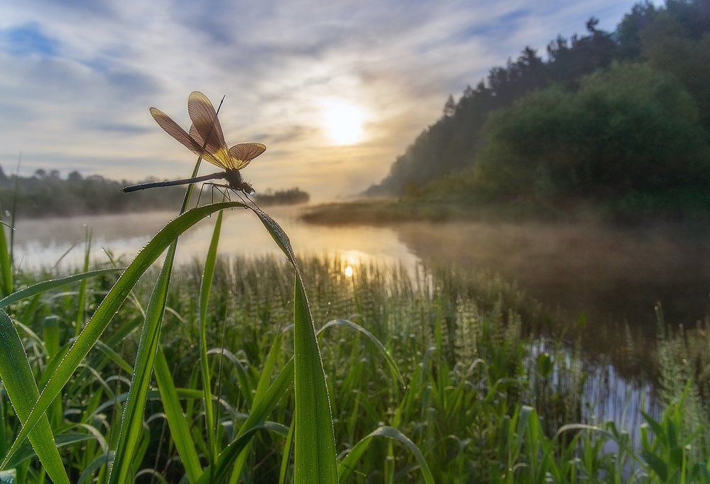 пробуждение