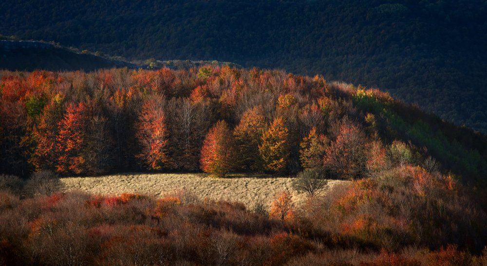 Осенняя Ай-Петри.