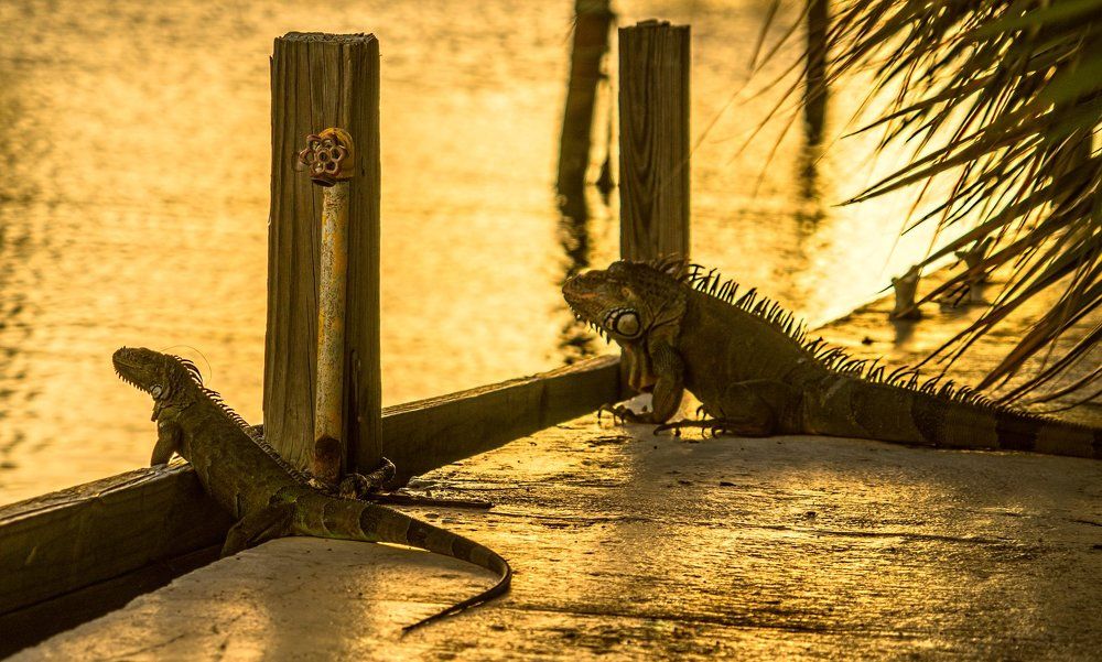 ЛУЧШИЕ МЕСТА В ПАРТЕРЕ