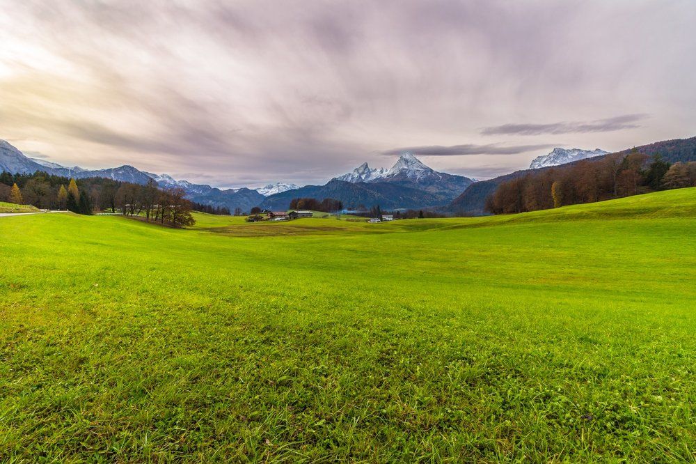 Баварские луга