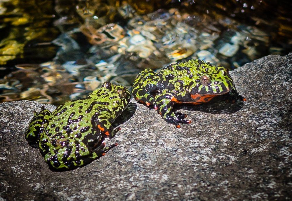 Самые красивые