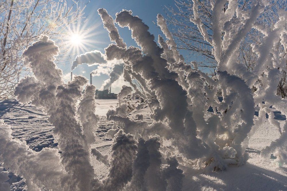 Зимняя сказка