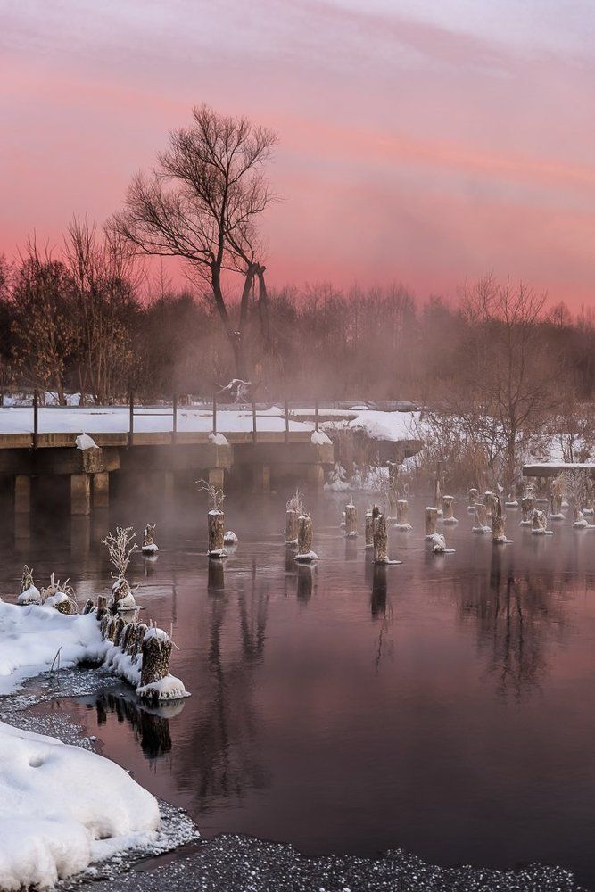 Все в розовом