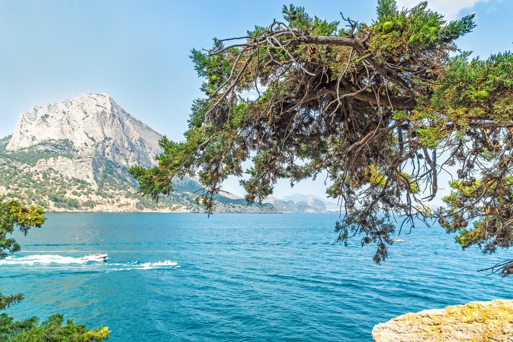 Зеленая бухта. Крым.