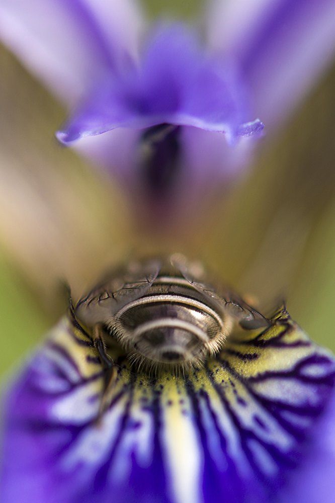 В колыбельке