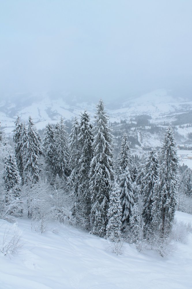 Photograph by Олексій Долинний