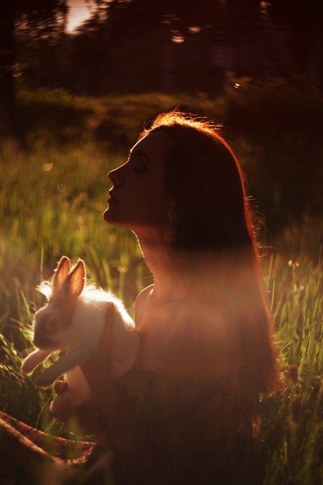 follow the white rabbit