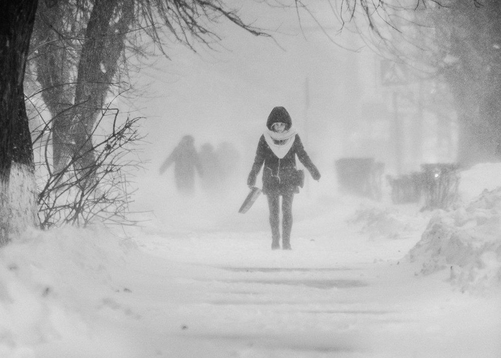 Метель в городе