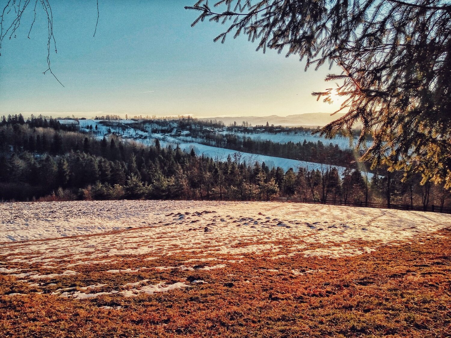 Photo #1628277