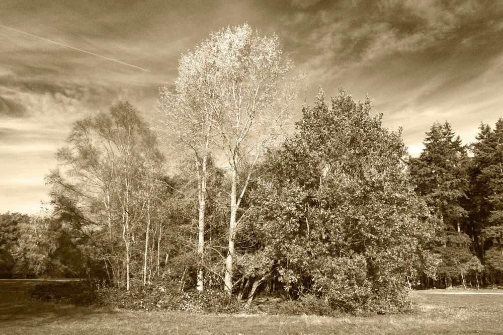 Осенняя пора