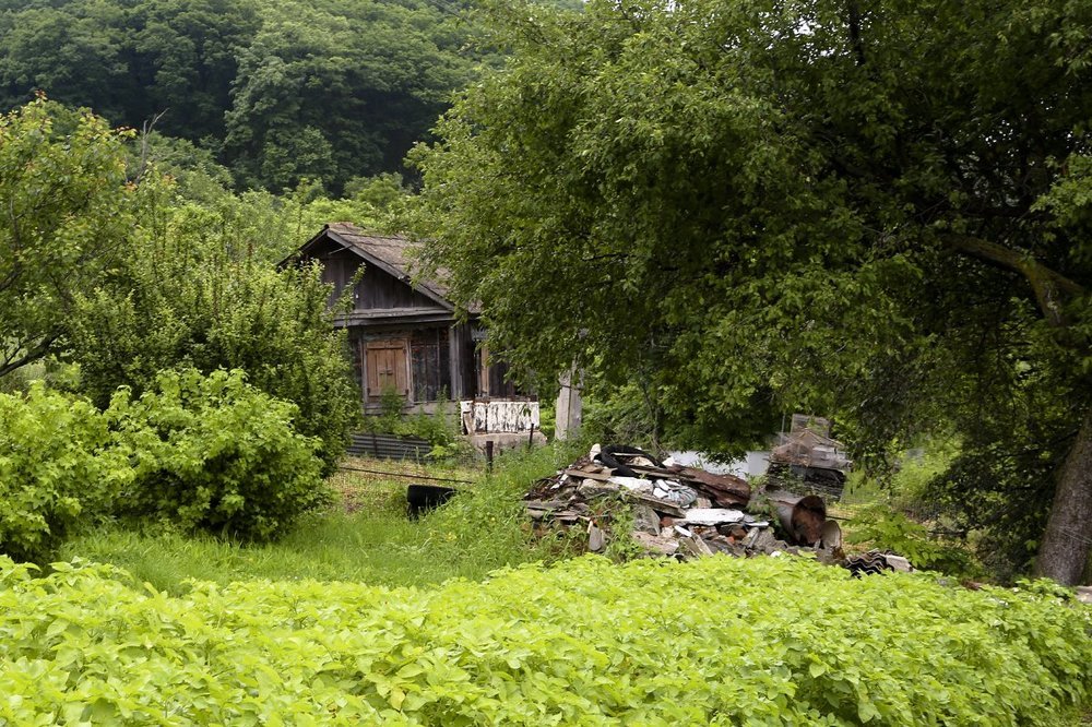 В дали от людей