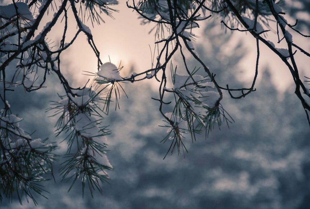 Зимний вечер