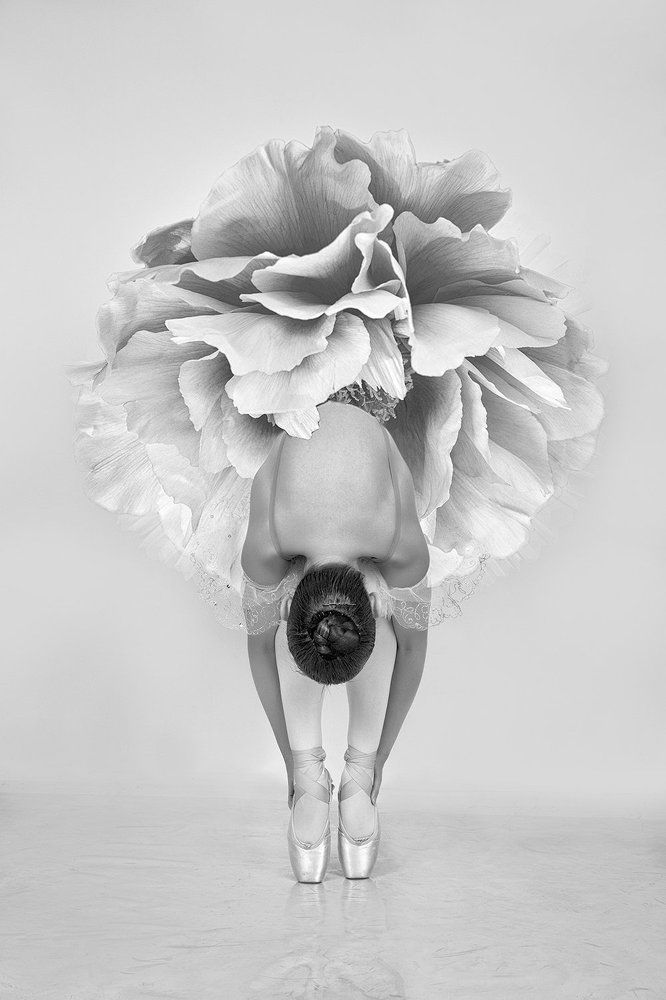 Цветочная рапсодия