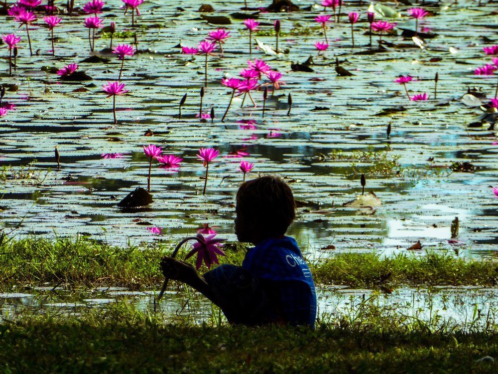 Flower Salesman