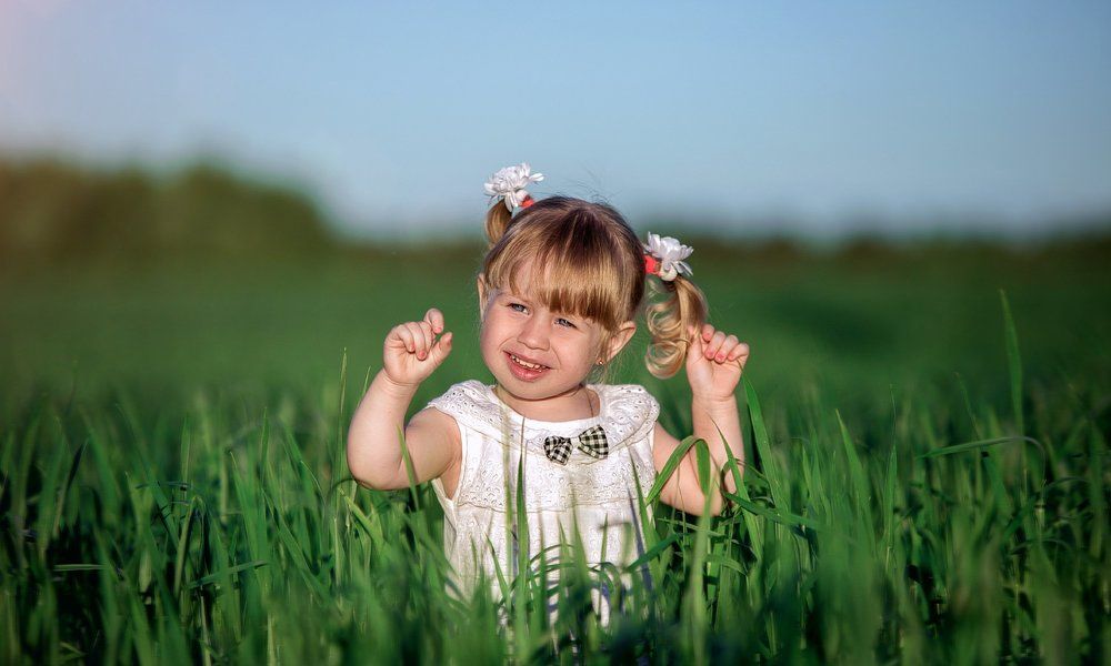 Утреннее солнышко